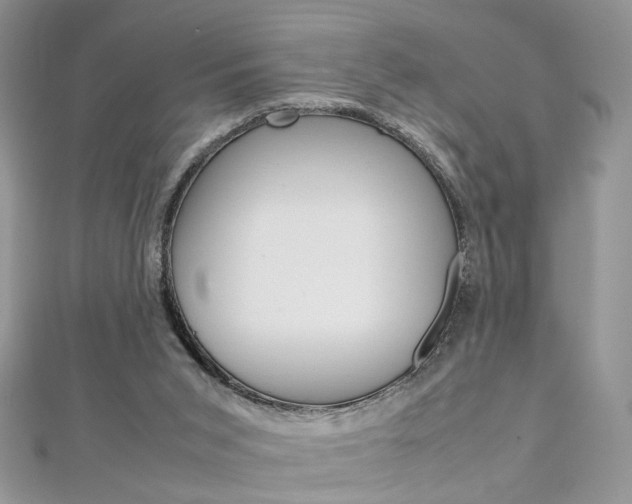 X0000113070015200908281020