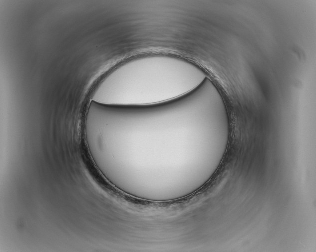 X0000113070016200908281020
