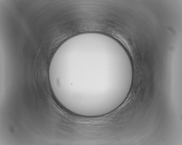 X0000113070017200908281020