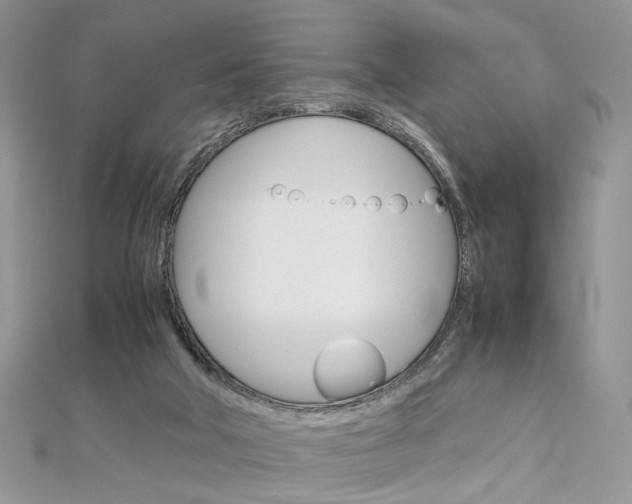 X0000113070018200908281020