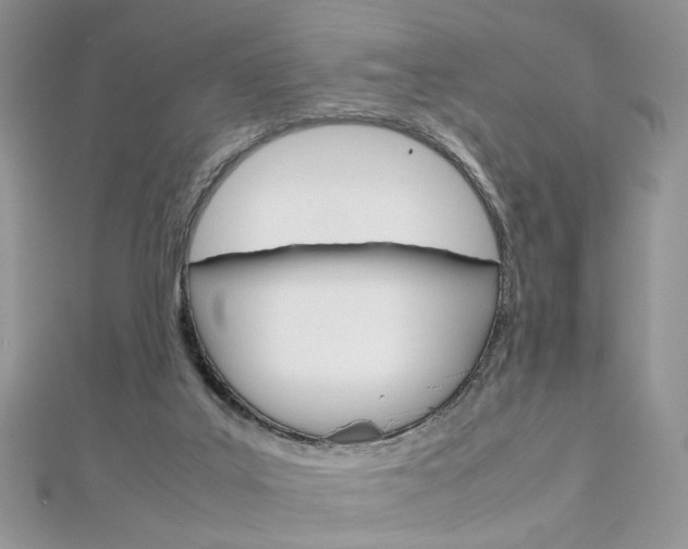 X0000113070019200908281020