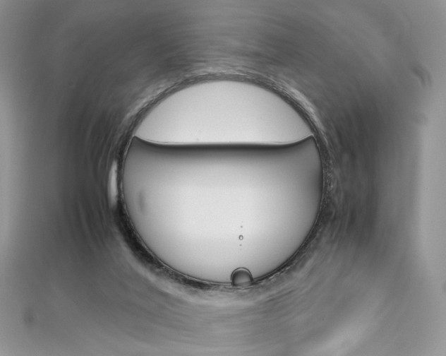 X0000113070020200908281020