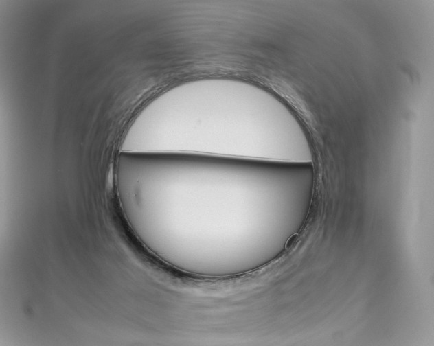 X0000113070021200908281020