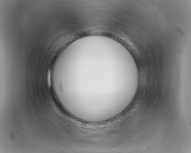 X0000113070022200908281020