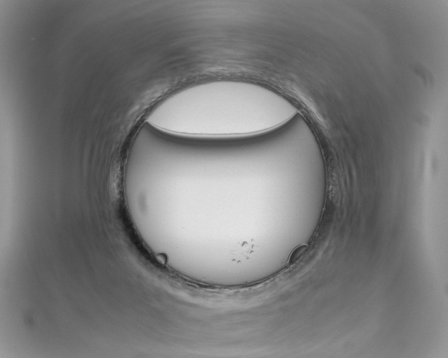 X0000113070023200908281020