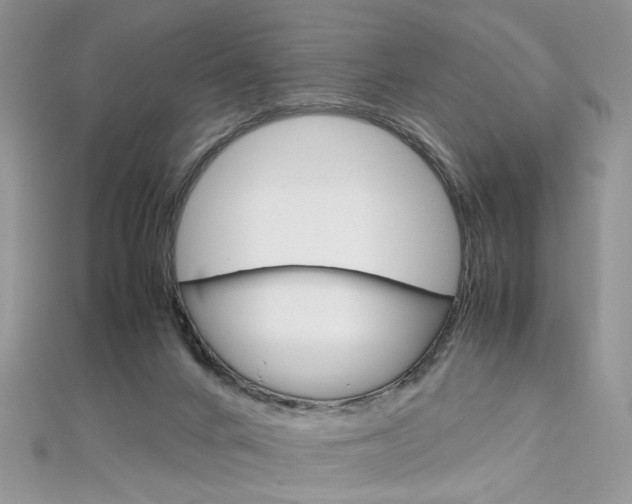 X0000113070024200908281020