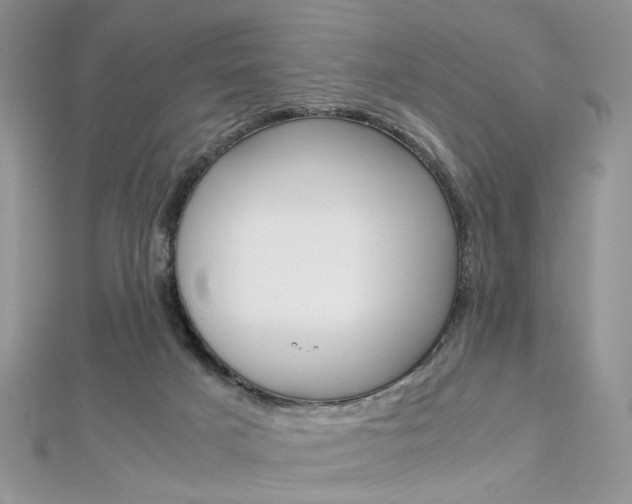 X0000113070025200908281020