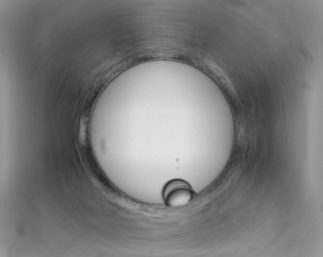 X0000113070026200908281020