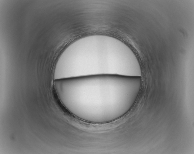 X0000113070027200908281020