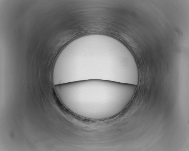 X0000113070028200908281020