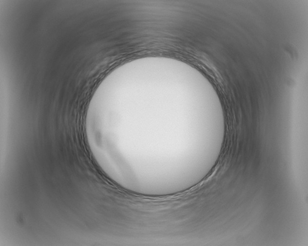 X0000113070029200908281020