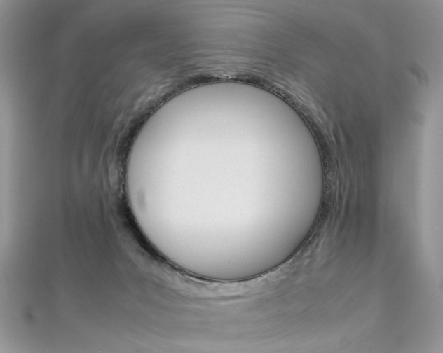 X0000113070031200908281020