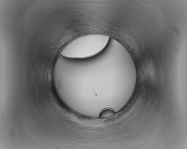 X0000113070032200908281020