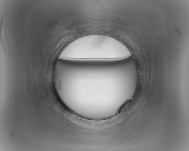 X0000113070035200908281020