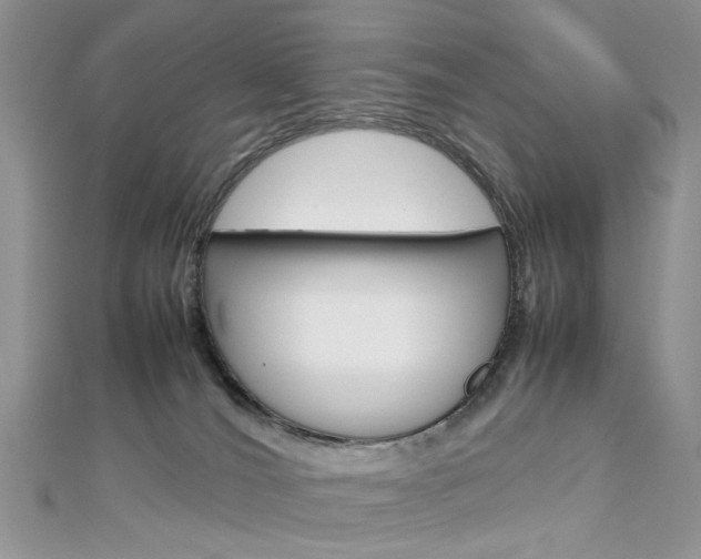 X0000113070036200908281020