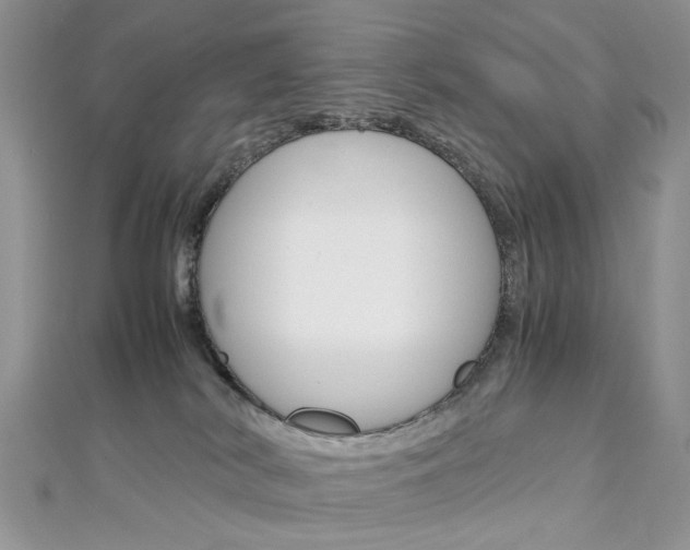 X0000113070038200908281020