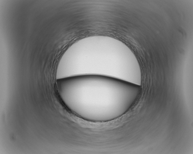 X0000113070039200908281020