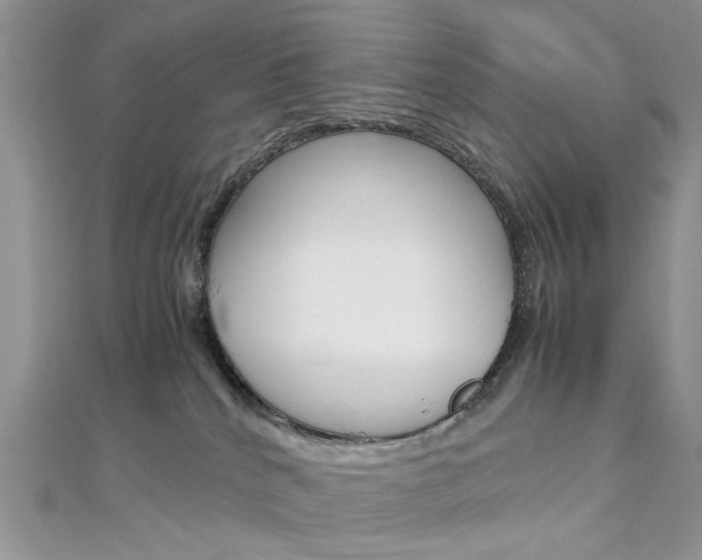 X0000113070040200908281020