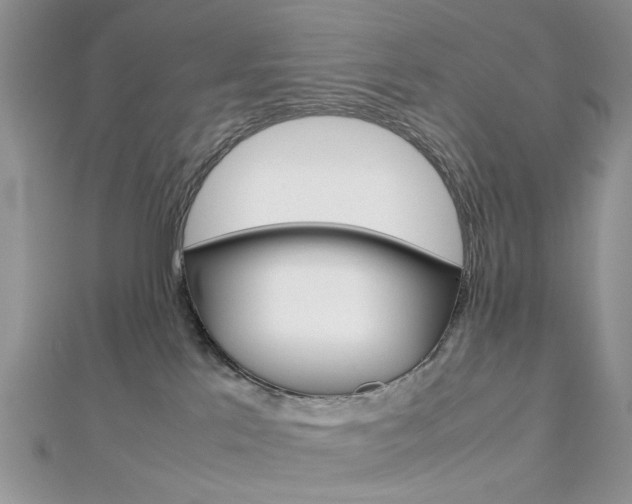 X0000113070041200908281020