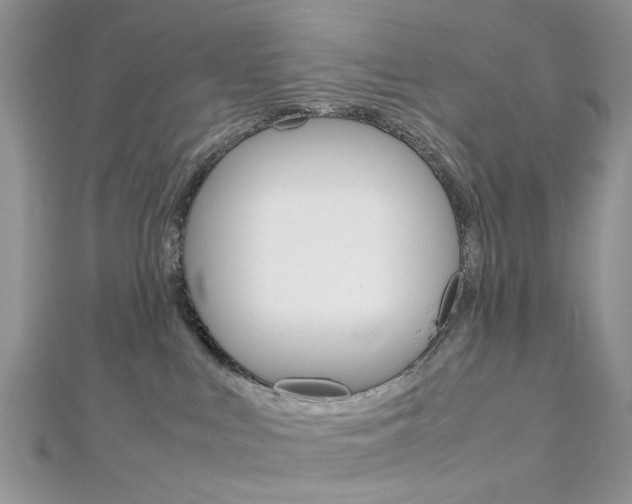 X0000113070043200908281020