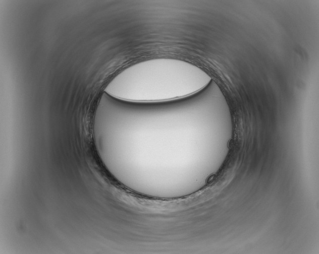 X0000113070044200908281020