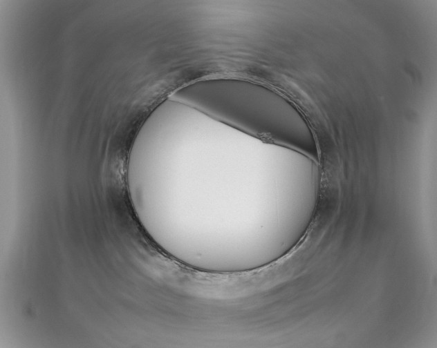 X0000113070045200908281020