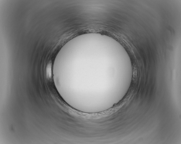 X0000113070046200908281020