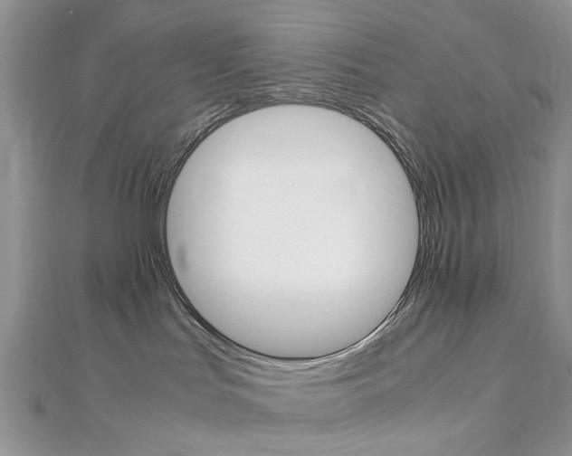 X0000113070047200908281019