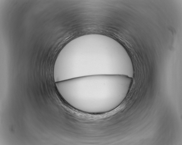 X0000113070048200908281019