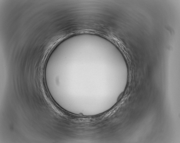 X0000113070049200908281019