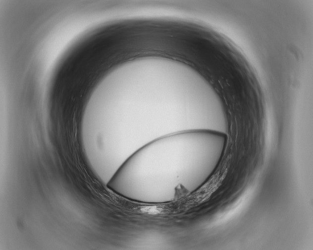 X0000113070050200908281019
