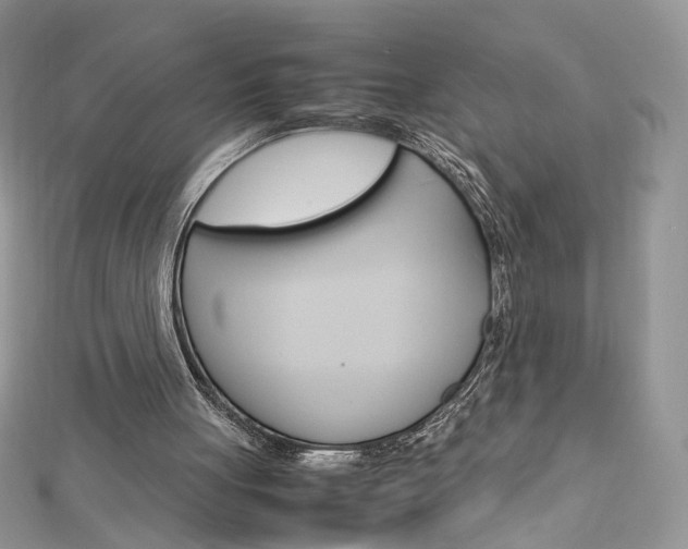 X0000113070051200908281019