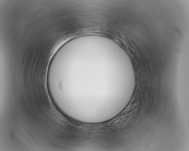 X0000113070052200908281019