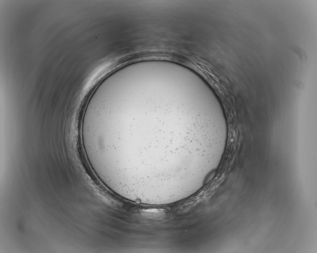 X0000113070053200908281019