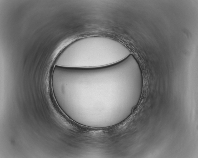 X0000113070054200908281019