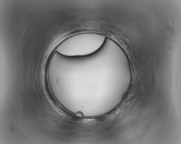 X0000113070055200908281019