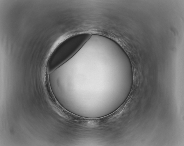 X0000113070056200908281019
