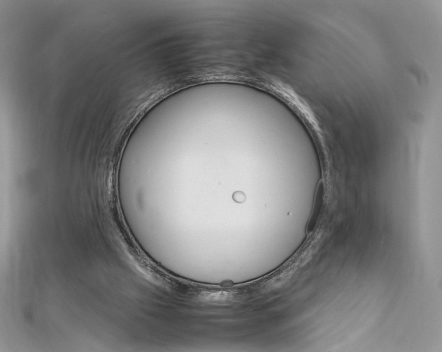 X0000113070057200908281019