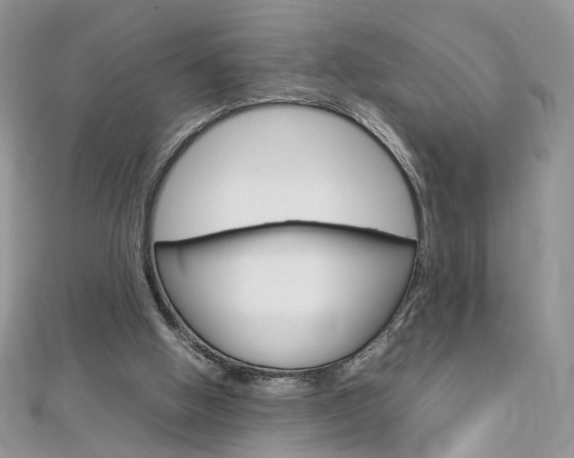 X0000113070058200908281019