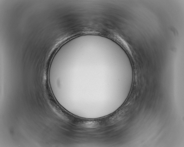 X0000113070059200908281019