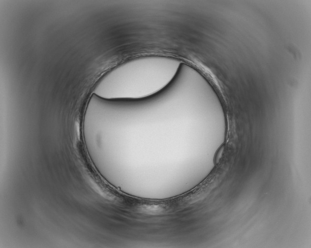 X0000113070061200908281019
