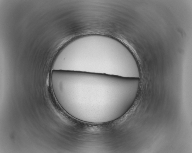 X0000113070062200908281019