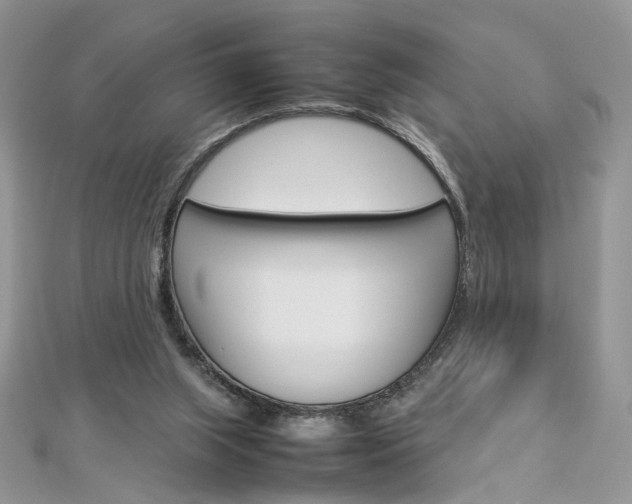 X0000113070063200908281019