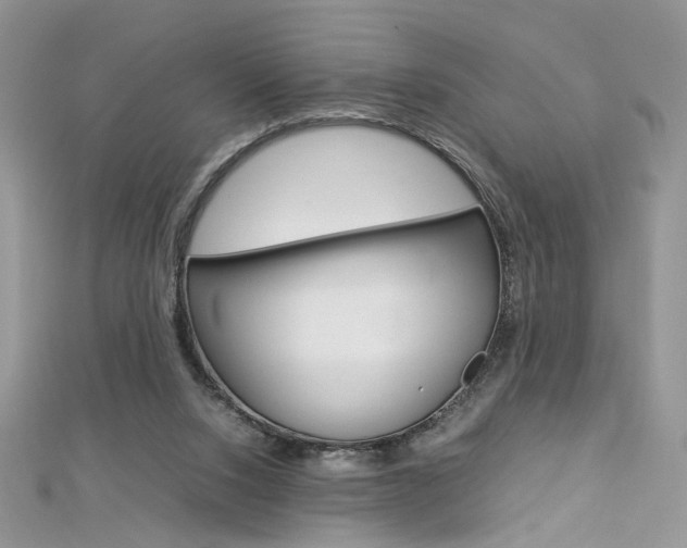 X0000113070064200908281019
