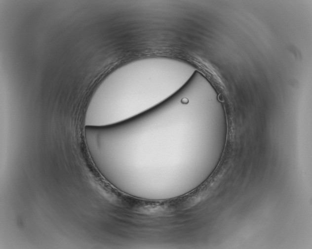X0000113070065200908281019