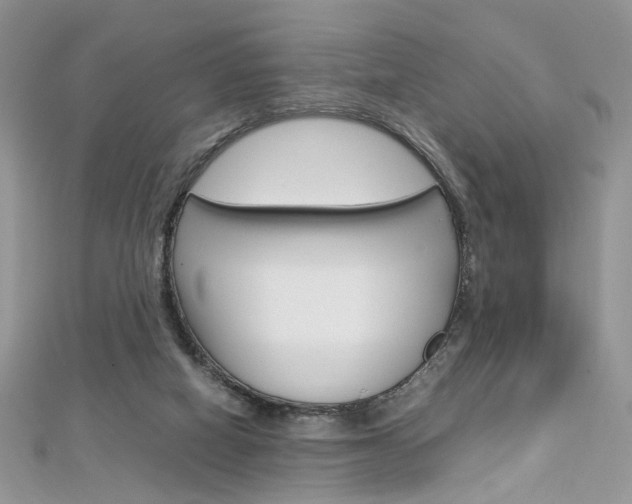 X0000113070066200908281019