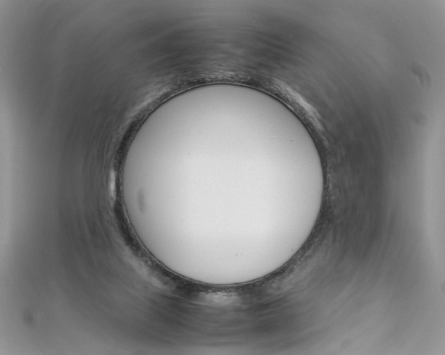 X0000113070067200908281019