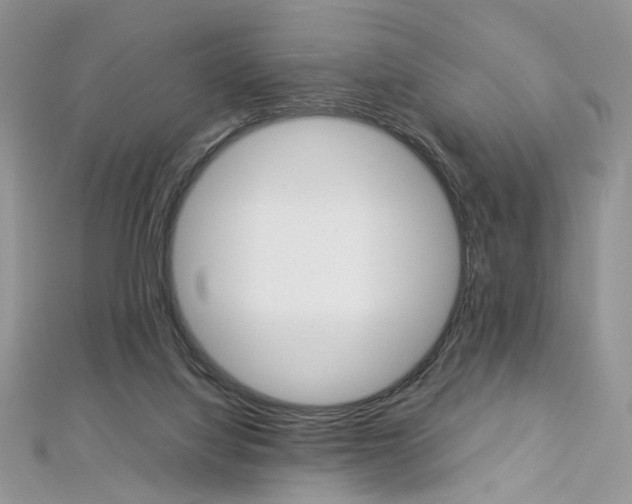 X0000113070068200908281019