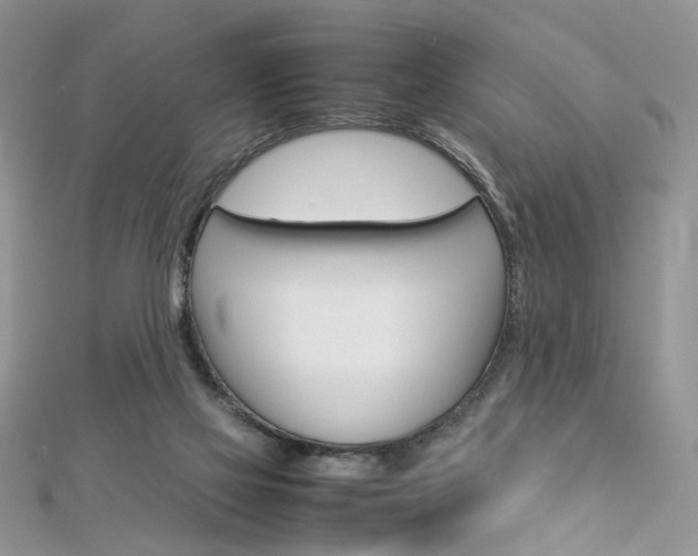 X0000113070069200908281019