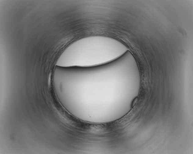 X0000113070070200908281019